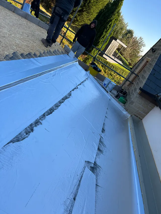 Roof membrane and waterproofing